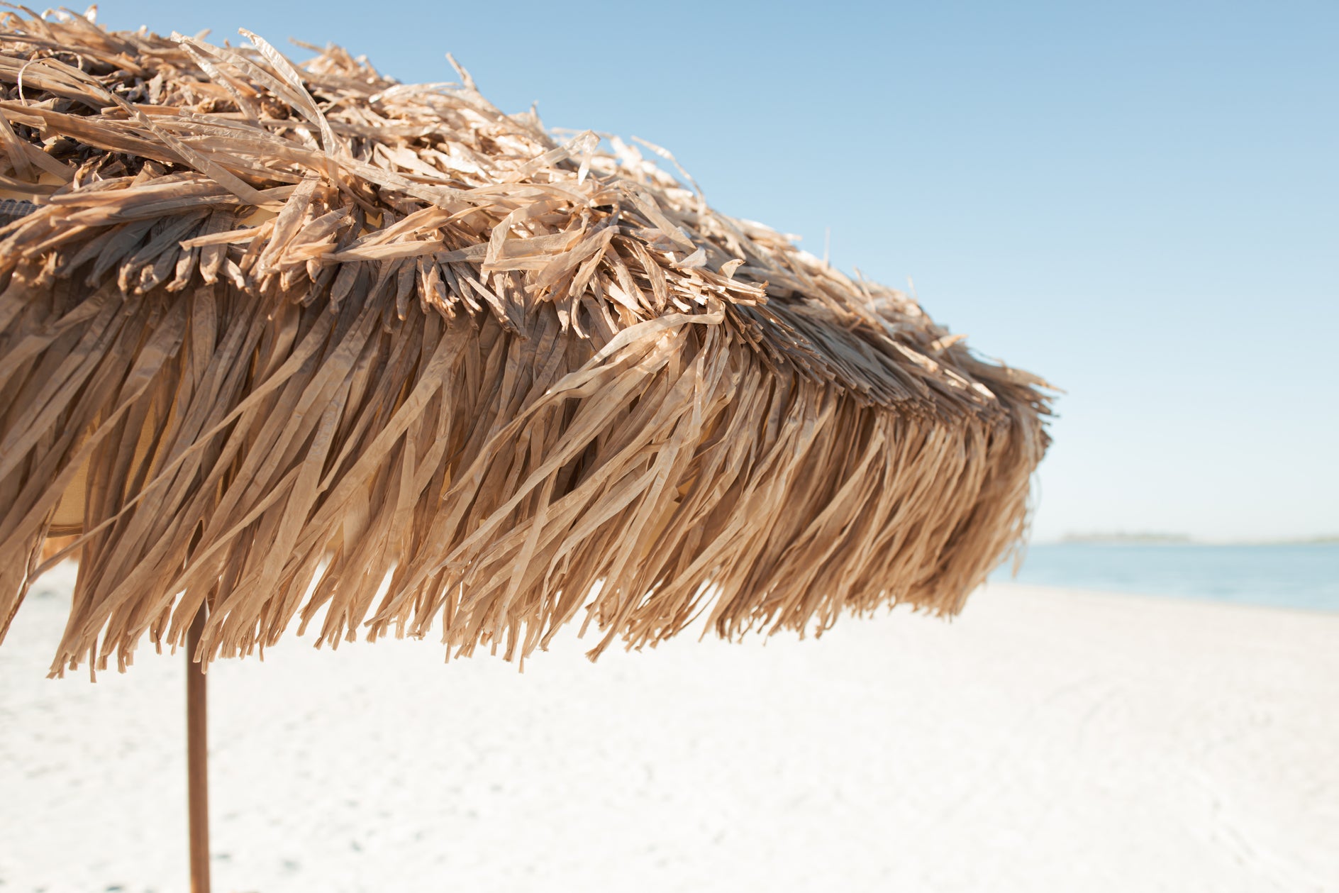 The Sirocco - Natural Inspired Beach Umbrella 